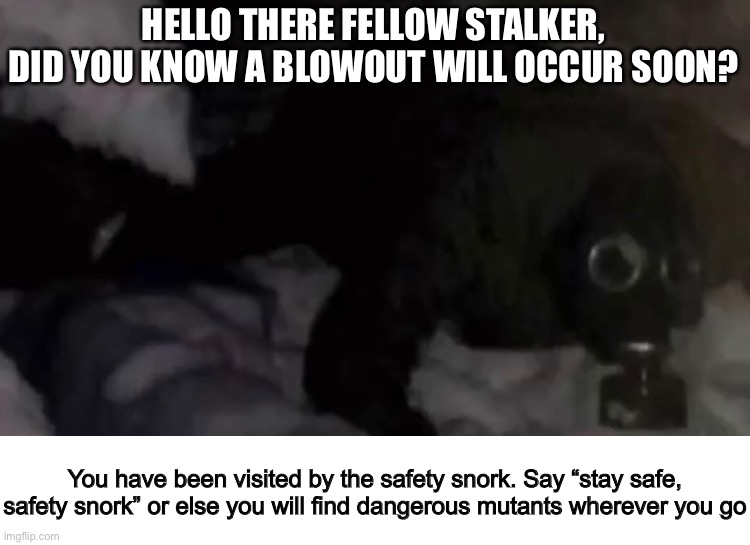 Stay safe, safety snork |  HELLO THERE FELLOW STALKER, DID YOU KNOW A BLOWOUT WILL OCCUR SOON? You have been visited by the safety snork. Say “stay safe, safety snork” or else you will find dangerous mutants wherever you go | image tagged in memes,stalker,video games,mutant,chernobyl,gas mask | made w/ Imgflip meme maker