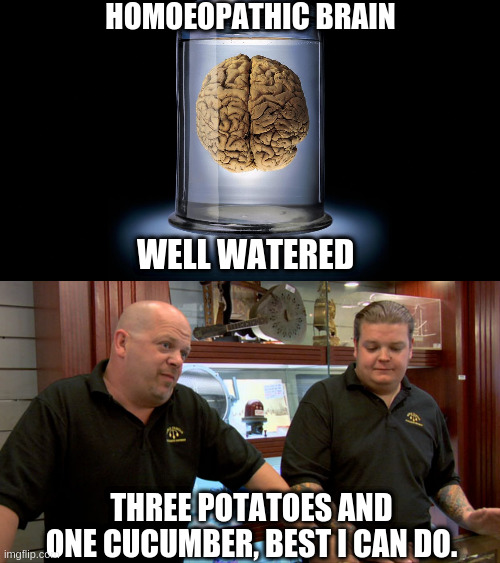 HOMOEOPATHIC BRAIN WELL WATERED THREE POTATOES AND ONE CUCUMBER, BEST I CAN DO. | image tagged in pawn stars best i can do,pickled brain | made w/ Imgflip meme maker
