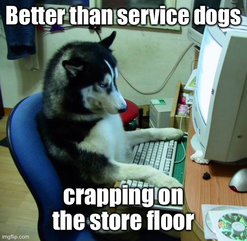 I Have No Idea What I Am Doing Meme | Better than service dogs crapping on the store floor | image tagged in memes,i have no idea what i am doing | made w/ Imgflip meme maker