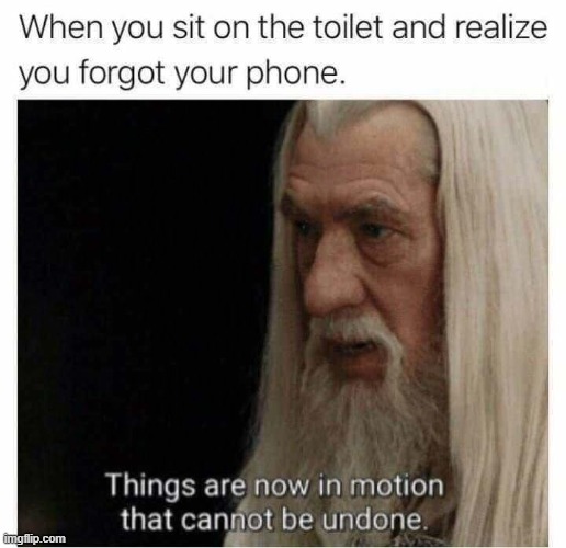 so true tho. there goes 5 minutes of potentially productive ImgFlip time | image tagged in repost,gandalf,toilet,toilet humor,bathroom,potty humor | made w/ Imgflip meme maker