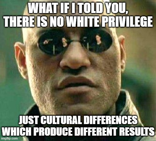 What if i told you | WHAT IF I TOLD YOU, THERE IS NO WHITE PRIVILEGE; JUST CULTURAL DIFFERENCES WHICH PRODUCE DIFFERENT RESULTS | image tagged in what if i told you | made w/ Imgflip meme maker