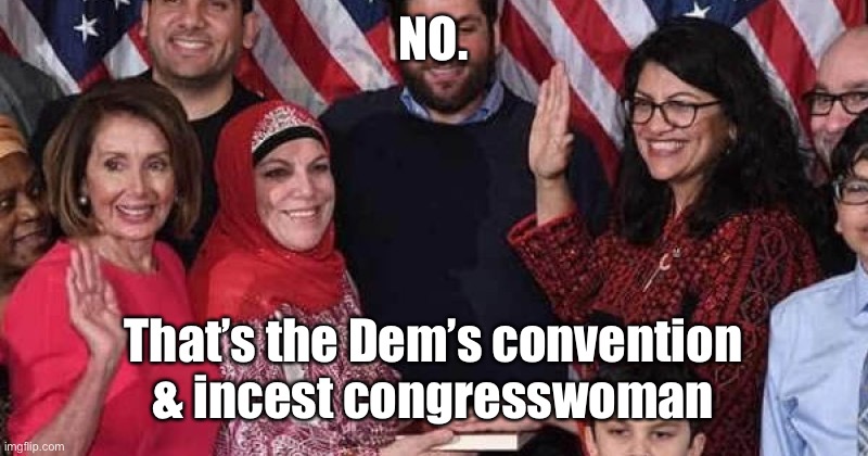 CONGRESSWOMAN RASHIDA | NO. That’s the Dem’s convention & incest congresswoman | image tagged in congresswoman rashida | made w/ Imgflip meme maker