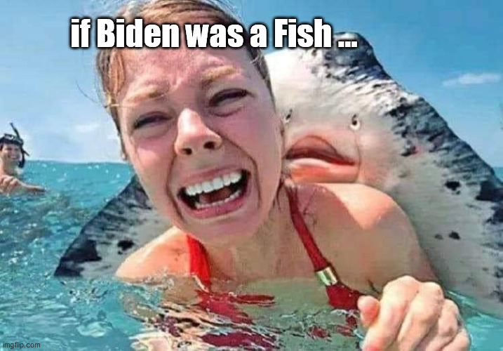 if Biden was a fish | if Biden was a Fish ... | image tagged in creepy joe biden | made w/ Imgflip meme maker