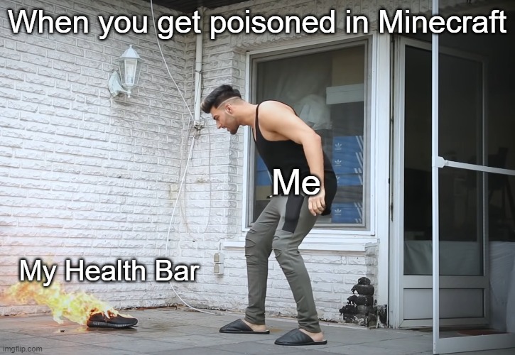 Poisoned in Minecraft | When you get poisoned in Minecraft; Me; My Health Bar | image tagged in apored - digga meine yeezys,minecraft,poison,health | made w/ Imgflip meme maker