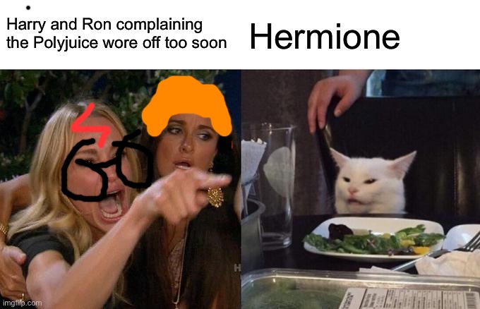 My glasses and hair are pretty bad aint they | Harry and Ron complaining the Polyjuice wore off too soon; Hermione | image tagged in memes,woman yelling at cat | made w/ Imgflip meme maker
