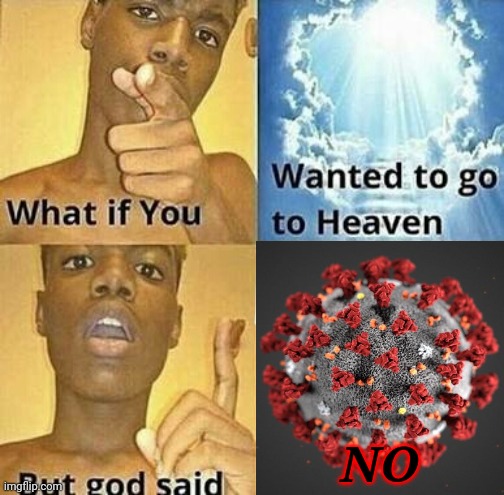 GOSHDARN YOU COVID!!! |  NO | image tagged in what if you wanted to go to heaven,memes,coronavirus,covid-19,covidiots,world war c | made w/ Imgflip meme maker
