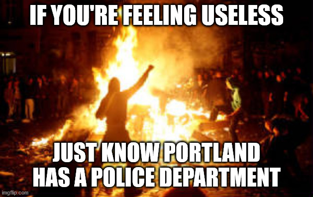 so peaceful, so brave | IF YOU'RE FEELING USELESS; JUST KNOW PORTLAND HAS A POLICE DEPARTMENT | image tagged in anarchy riot,portland,portlandia,police brutality | made w/ Imgflip meme maker