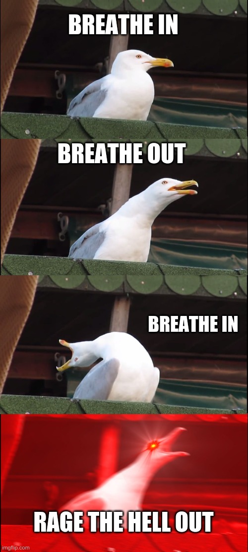 Inhaling Seagull | BREATHE IN; BREATHE OUT; BREATHE IN; RAGE THE HELL OUT | image tagged in memes,inhaling seagull | made w/ Imgflip meme maker