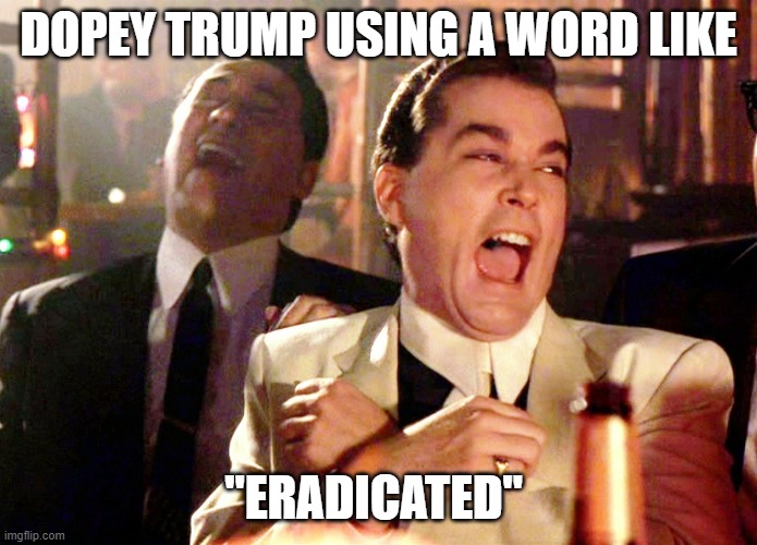 Good Fellas Hilarious Meme | DOPEY TRUMP USING A WORD LIKE "ERADICATED" | image tagged in memes,good fellas hilarious | made w/ Imgflip meme maker