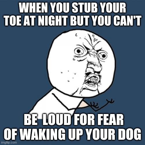 Y U No Meme | WHEN YOU STUB YOUR TOE AT NIGHT BUT YOU CAN'T; BE  LOUD FOR FEAR OF WAKING UP YOUR DOG | image tagged in memes,y u no | made w/ Imgflip meme maker