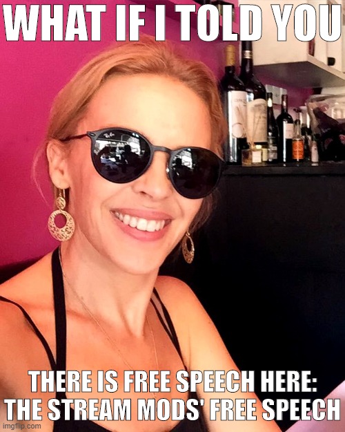 ImgFlip Mods & Stream Mods have standards. Post tasteful content in the right stream and you won't have a problem! | WHAT IF I TOLD YOU; THERE IS FREE SPEECH HERE: THE STREAM MODS' FREE SPEECH | image tagged in kylie morpheus,free speech,freedom of speech,content,imgflip mods,imgflip | made w/ Imgflip meme maker