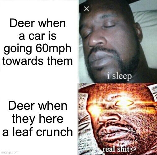 Sleeping Shaq Meme | Deer when a car is going 60mph towards them; Deer when they here a leaf crunch | image tagged in memes,sleeping shaq | made w/ Imgflip meme maker