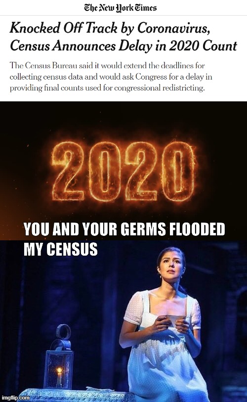 Watch 2020 Census "Burn" | image tagged in watch 2020 census burn | made w/ Imgflip meme maker
