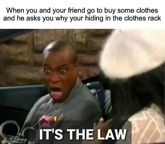 It's the law | When you and your friend go to buy some clothes and he asks you why your hiding in the clothes rack | image tagged in it's the law | made w/ Imgflip meme maker