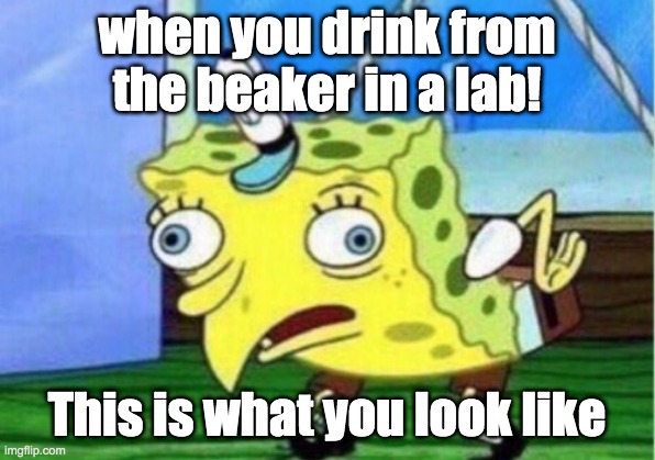 Mocking Spongebob Meme | when you drink from the beaker in a lab! This is what you look like | image tagged in memes,mocking spongebob | made w/ Imgflip meme maker