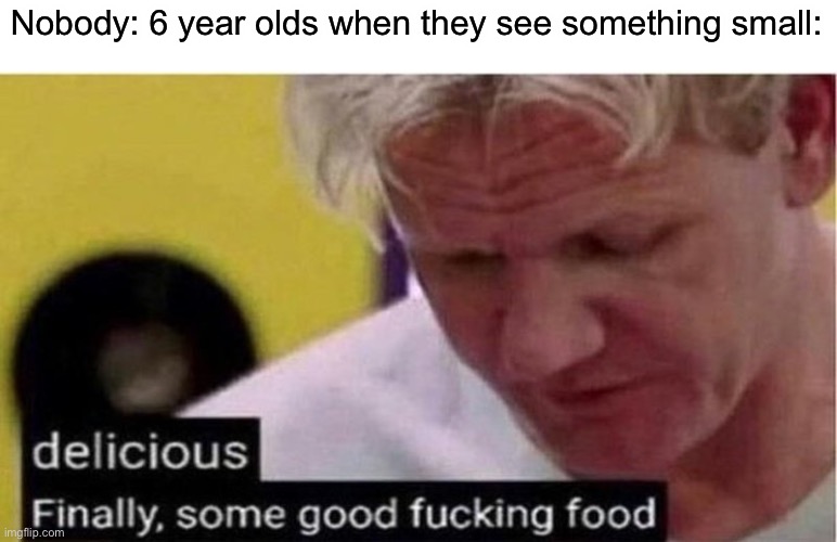 Gordon Ramsay some good food | Nobody: 6 year olds when they see something small: | image tagged in gordon ramsay some good food | made w/ Imgflip meme maker