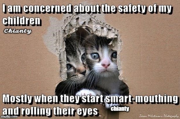 safety | 𝓒𝓱𝓲𝓪𝓷𝓽𝔂 | image tagged in rolling eyes | made w/ Imgflip meme maker