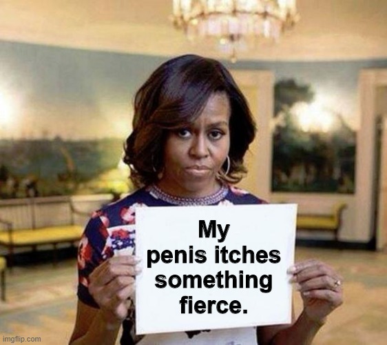 Michelle Obama blank sheet | My penis itches something fierce. | image tagged in michelle obama blank sheet | made w/ Imgflip meme maker