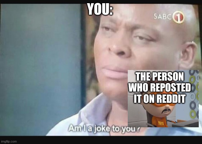Am I a joke to you? | YOU: THE PERSON WHO REPOSTED IT ON REDDIT | image tagged in am i a joke to you | made w/ Imgflip meme maker