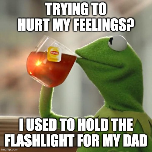 YOU CAN'T HURT ME | TRYING TO HURT MY FEELINGS? I USED TO HOLD THE FLASHLIGHT FOR MY DAD | image tagged in memes,but that's none of my business,kermit the frog | made w/ Imgflip meme maker