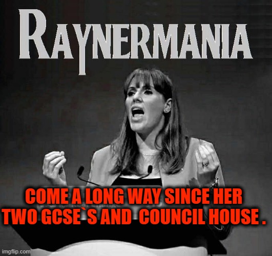 Raynermania | COME A LONG WAY SINCE HER TWO GCSE`S AND  COUNCIL HOUSE . | image tagged in the council will decide your fate | made w/ Imgflip meme maker