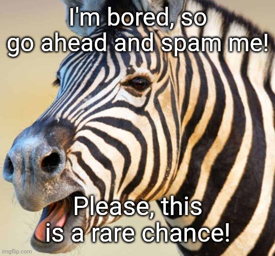 Why not? No harm done. | I'm bored, so go ahead and spam me! Please, this is a rare chance! | image tagged in happy zebra | made w/ Imgflip meme maker