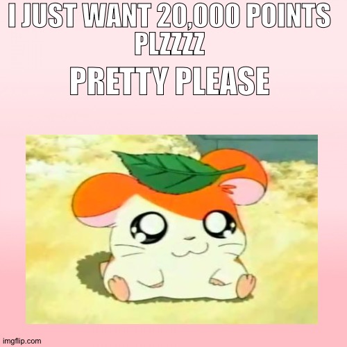 Me begging for upvotes | I JUST WANT 20,000 POINTS; PLZZZZ; PRETTY PLEASE | image tagged in hamster,hamtaro | made w/ Imgflip meme maker