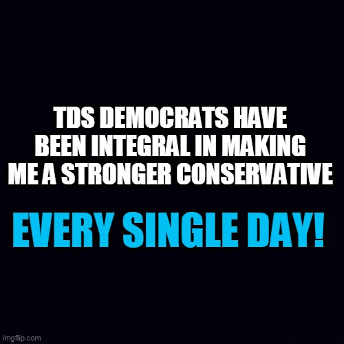 Plain black | TDS DEMOCRATS HAVE BEEN INTEGRAL IN MAKING ME A STRONGER CONSERVATIVE EVERY SINGLE DAY! | image tagged in plain black | made w/ Imgflip meme maker