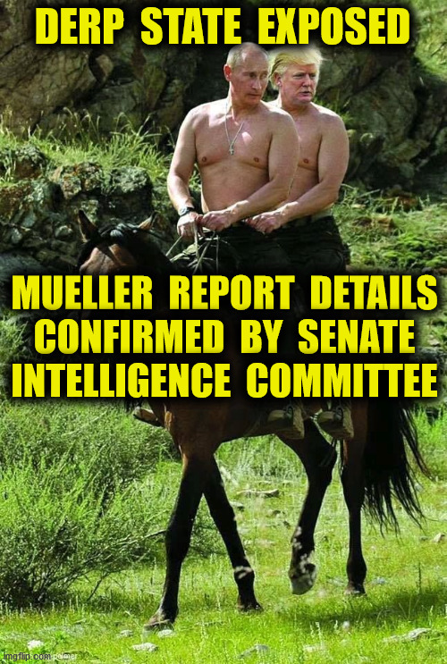 Senate Intelligence Committee Report | DERP  STATE  EXPOSED; MUELLER  REPORT  DETAILS
CONFIRMED  BY  SENATE
INTELLIGENCE  COMMITTEE | image tagged in trump putin,senate intelligence committee,russiagate,2016,mueller report,memes | made w/ Imgflip meme maker