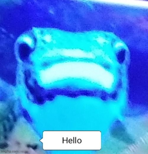 Hello Jr. | image tagged in hello jr | made w/ Imgflip meme maker