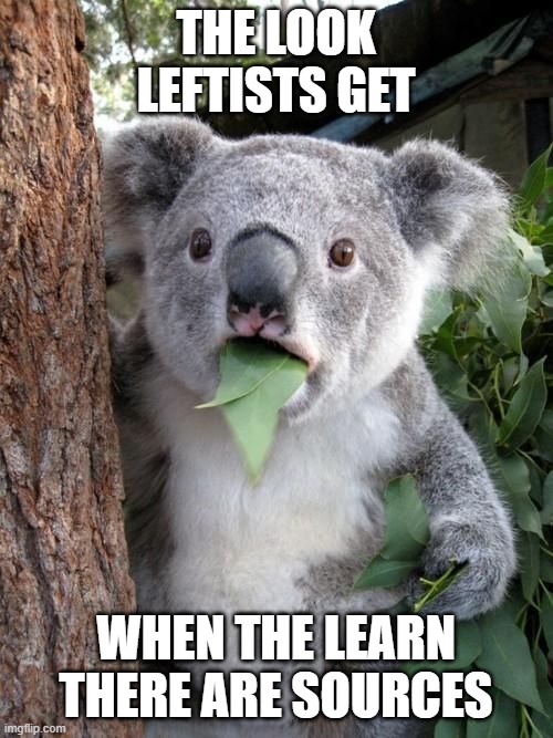 Suprised kuala | THE LOOK LEFTISTS GET WHEN THE LEARN THERE ARE SOURCES | image tagged in suprised kuala | made w/ Imgflip meme maker