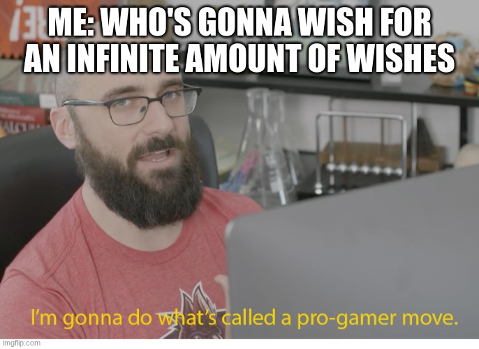 I'm gonna do what's called a pro-gamer move. | ME: WHO'S GONNA WISH FOR AN INFINITE AMOUNT OF WISHES | image tagged in i'm gonna do what's called a pro-gamer move | made w/ Imgflip meme maker