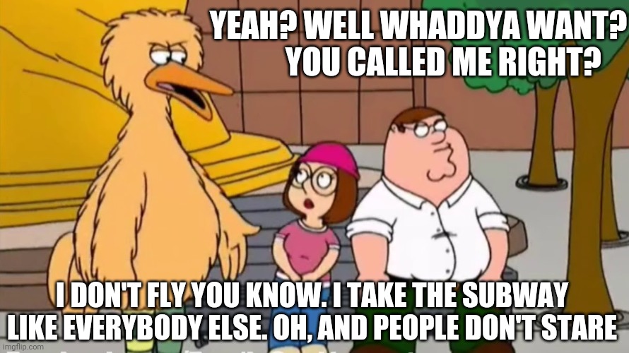 Family Guy Bird Calls | YEAH? WELL WHADDYA WANT?         YOU CALLED ME RIGHT? I DON'T FLY YOU KNOW. I TAKE THE SUBWAY LIKE EVERYBODY ELSE. OH, AND PEOPLE DON'T STARE | image tagged in family guy,big bird,meg | made w/ Imgflip meme maker