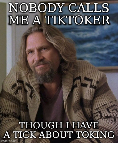 opinion | NOBODY CALLS ME A TIKTOKER; THOUGH I HAVE A TICK ABOUT TOKING | image tagged in opinion | made w/ Imgflip meme maker