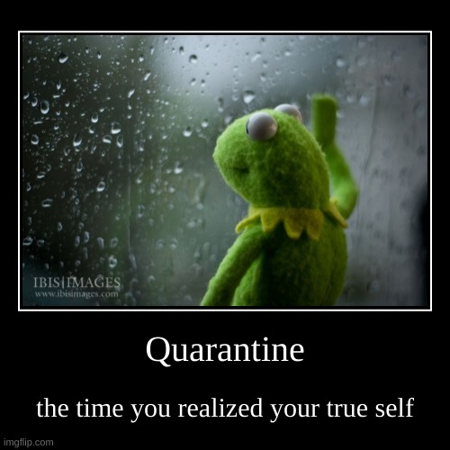 Quarantine finds the best of you | image tagged in funny,demotivationals,kermit window,quarantine | made w/ Imgflip demotivational maker