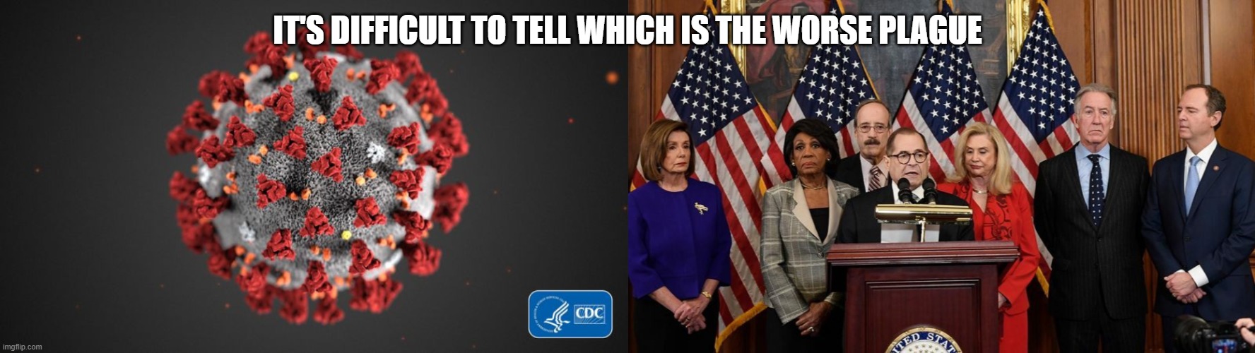 One Plague Will Eventually Go Away | IT'S DIFFICULT TO TELL WHICH IS THE WORSE PLAGUE | image tagged in house democrats,covid 19 | made w/ Imgflip meme maker