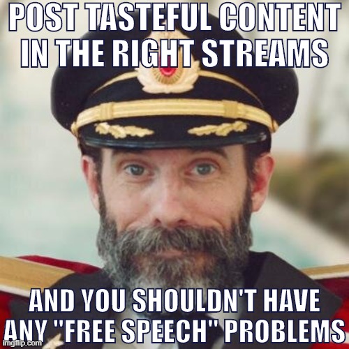 Most Global or Stream Mods on ImgFlip aren't looking for reasons to deny folks from submitting content. | POST TASTEFUL CONTENT IN THE RIGHT STREAMS; AND YOU SHOULDN'T HAVE ANY "FREE SPEECH" PROBLEMS | image tagged in captain obvious,free speech,freedom of speech,imgflip mods,imgflip,mods | made w/ Imgflip meme maker