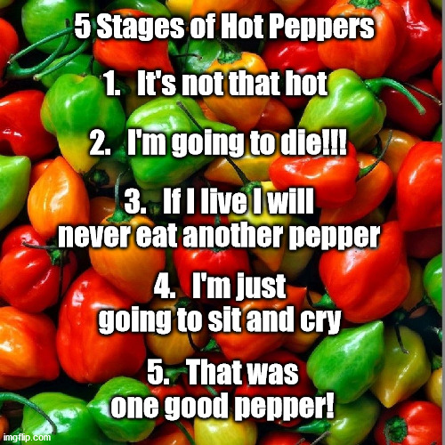 5 stages of hot peppers | 5 Stages of Hot Peppers; 1.   It's not that hot; 2.   I'm going to die!!! 3.   If I live I will never eat another pepper; 4.   I'm just going to sit and cry; 5.   That was one good pepper! | image tagged in hot,peppers | made w/ Imgflip meme maker