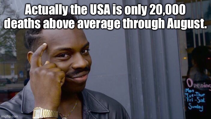 Roll Safe Think About It Meme | Actually the USA is only 20,000 deaths above average through August. | image tagged in memes,roll safe think about it | made w/ Imgflip meme maker