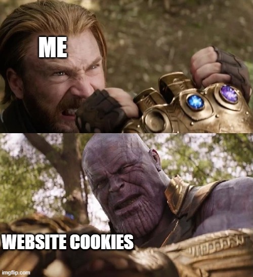 Avengers Infinity War Cap vs Thanos | ME; WEBSITE COOKIES | image tagged in avengers infinity war cap vs thanos | made w/ Imgflip meme maker