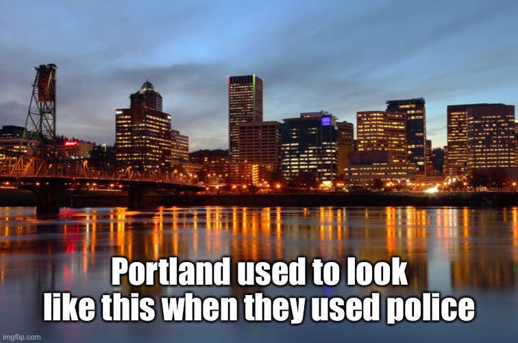 Portland Skyline | Portland used to look like this when they used police | image tagged in portland skyline | made w/ Imgflip meme maker