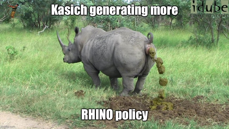 rhino poop | Kasich generating more RHINO policy | image tagged in rhino poop | made w/ Imgflip meme maker