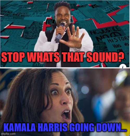 STOP WHATS THAT SOUND? KAMALA HARRIS GOING DOWN... | image tagged in kamala harriss,stop whats that sound | made w/ Imgflip meme maker