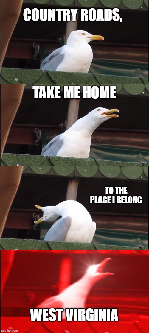 https://imgflip.com/i/4bvclt | COUNTRY ROADS, TAKE ME HOME; TO THE PLACE I BELONG; WEST VIRGINIA | image tagged in memes,inhaling seagull | made w/ Imgflip meme maker