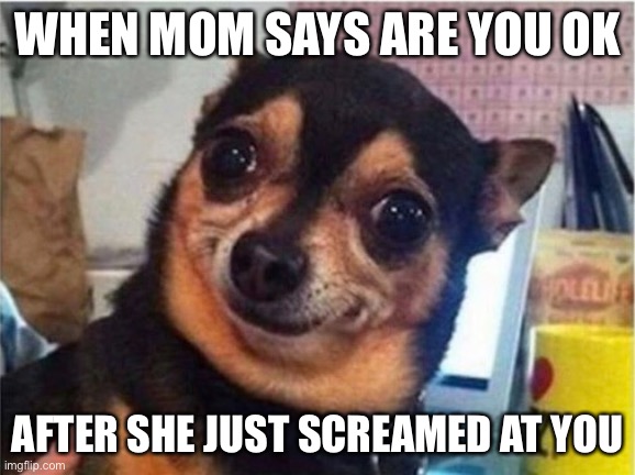Ow | WHEN MOM SAYS ARE YOU OK; AFTER SHE JUST SCREAMED AT YOU | image tagged in dog | made w/ Imgflip meme maker