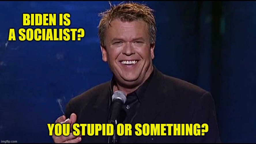 Ron White | BIDEN IS A SOCIALIST? YOU STUPID OR SOMETHING? | image tagged in ron white | made w/ Imgflip meme maker
