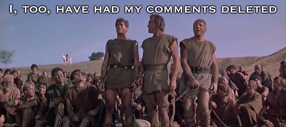 We've all had comments deleted, haven't we? Know where they're safe? Right here on Cringe_Hard: Now a true "free speech zone"! | I, too, have had my comments deleted | image tagged in were all spartacus,free speech,meme comments,freedom of speech,meanwhile on imgflip,first world imgflip problems | made w/ Imgflip meme maker