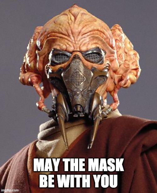 May you have a mask... always | MAY THE MASK BE WITH YOU | image tagged in plo koon quarantine,mask,face mask,star wars,funny,memes | made w/ Imgflip meme maker