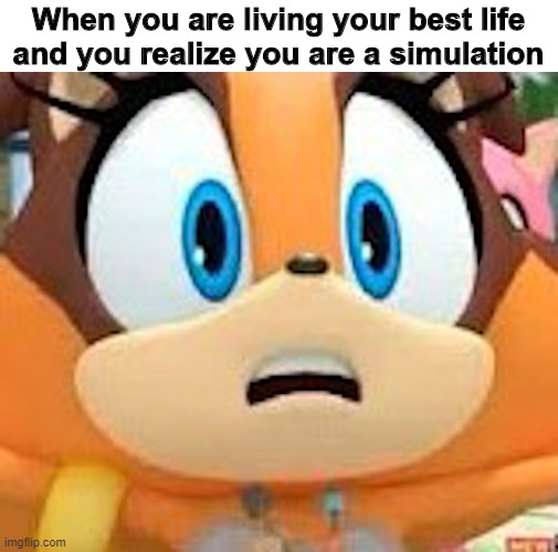 my life is a lie | When you are living your best life
and you realize you are a simulation | image tagged in sonic boom,priceless,my life is a lie,sudden realization,memes | made w/ Imgflip meme maker