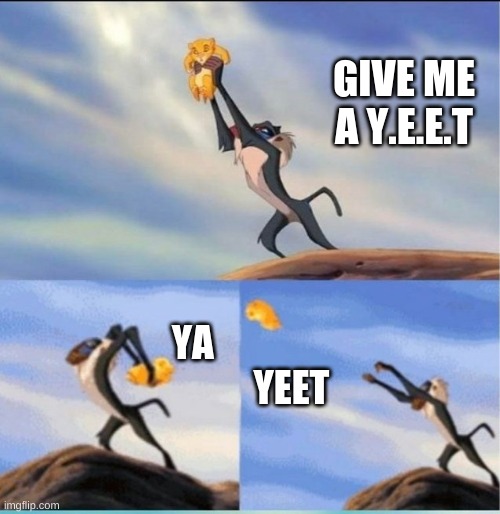 yeet | GIVE ME A Y.E.E.T; YA    
                      YEET | image tagged in lion being yeeted | made w/ Imgflip meme maker